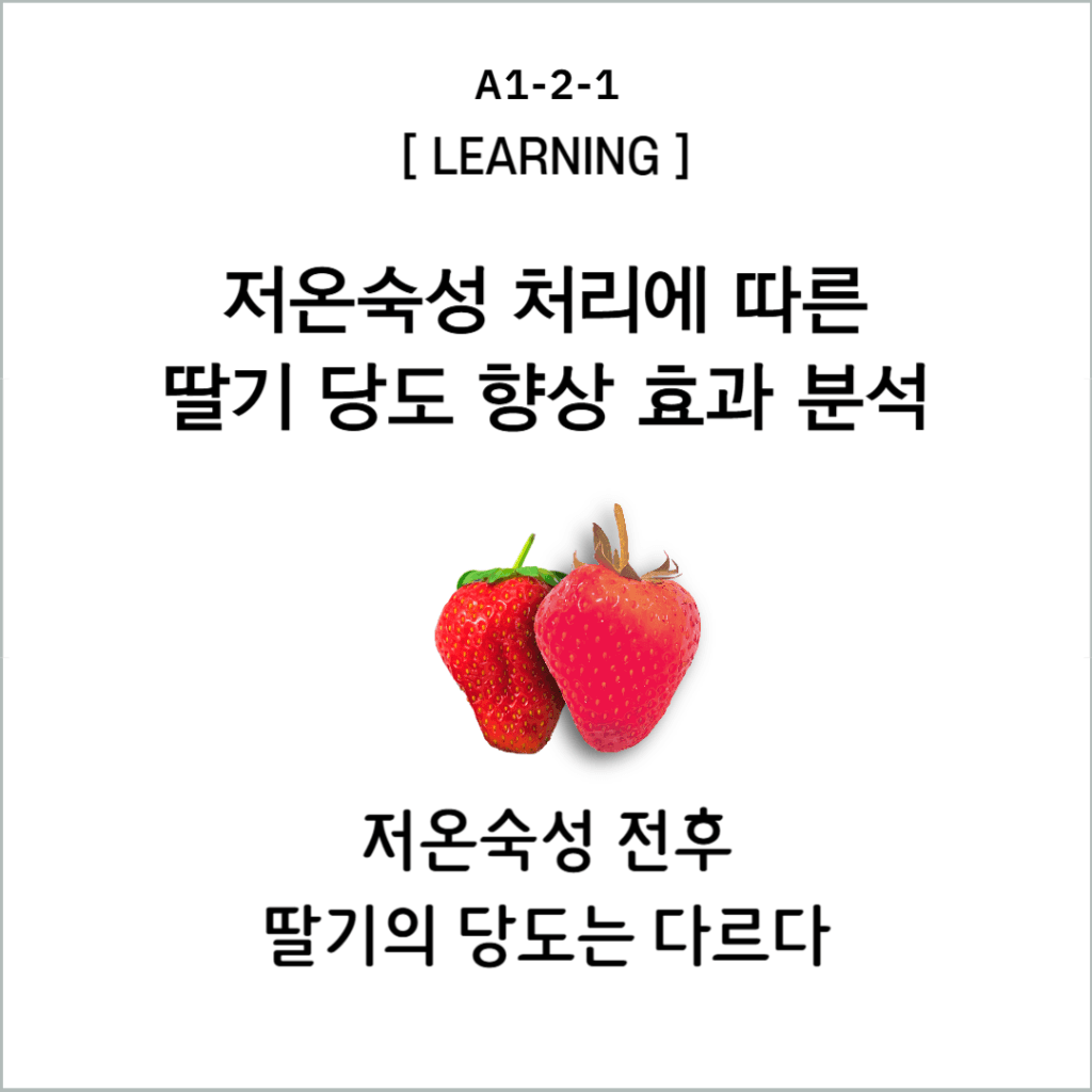 FORUM 데이터논문 — 저온숙성 처리에 따른 딸기 당도 향상 효과 분석
